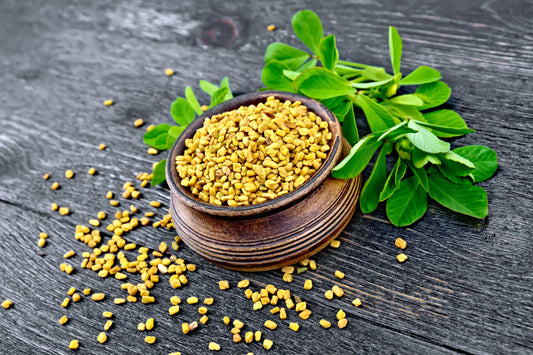 What Ayurveda has to say about Fenugreek seeds for hair? It's Advantages, Uses, and BEST way to incorporate.